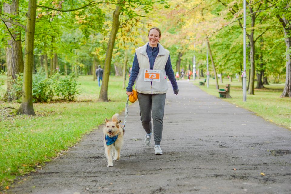 Za nami 9. Katowicki Dzień Psiaka [FOTORELACJA] - galeria