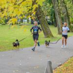 Za nami 9. Katowicki Dzień Psiaka [FOTORELACJA] - galeria