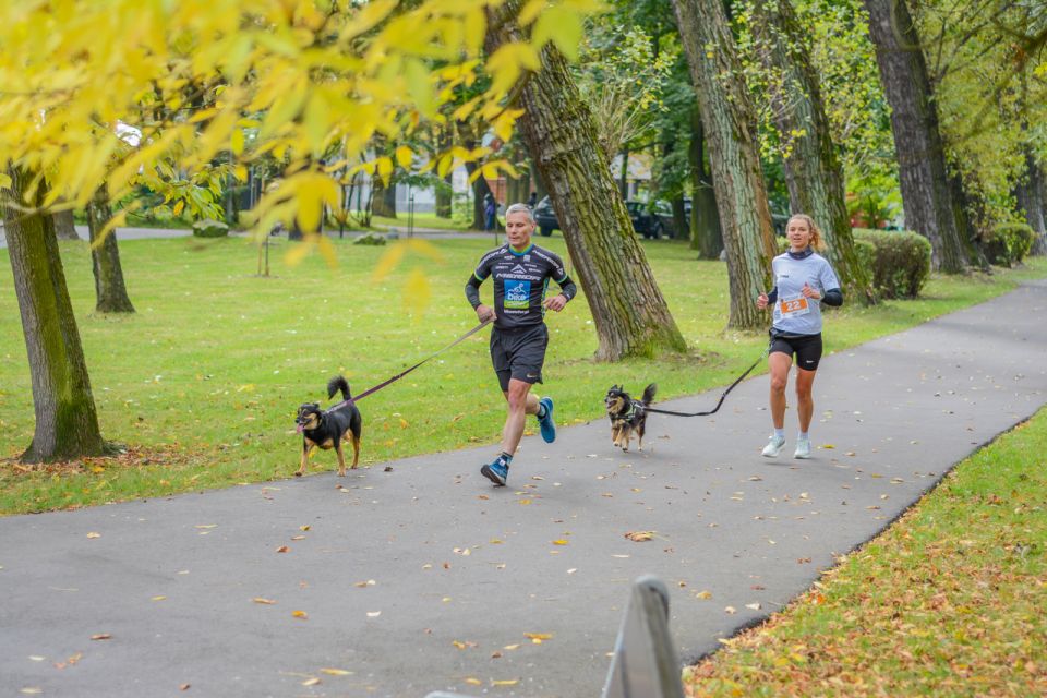 Za nami 9. Katowicki Dzień Psiaka [FOTORELACJA] - galeria