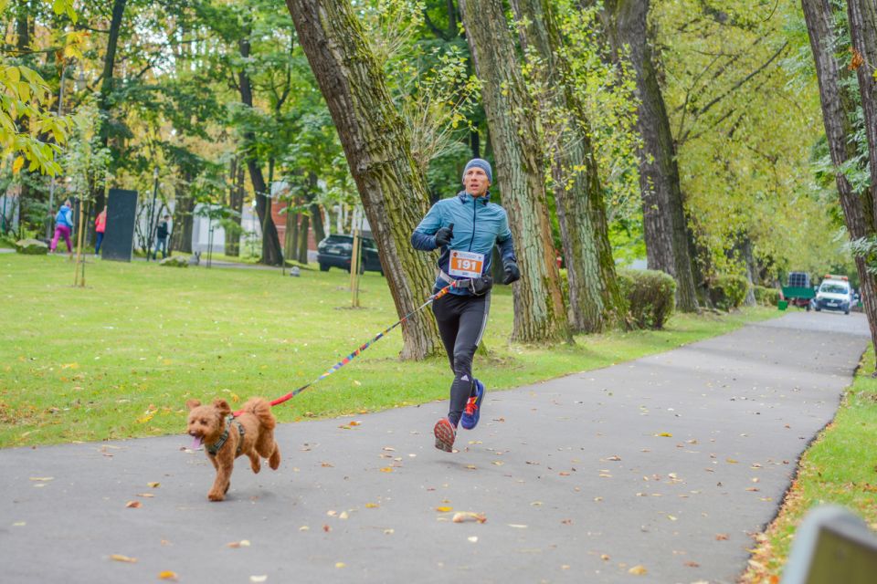 Za nami 9. Katowicki Dzień Psiaka [FOTORELACJA] - galeria