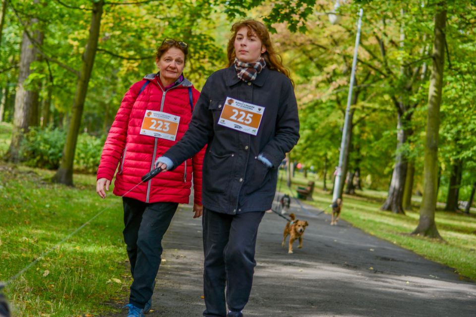 Za nami 9. Katowicki Dzień Psiaka [FOTORELACJA] - galeria