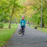 Za nami 9. Katowicki Dzień Psiaka [FOTORELACJA] - galeria