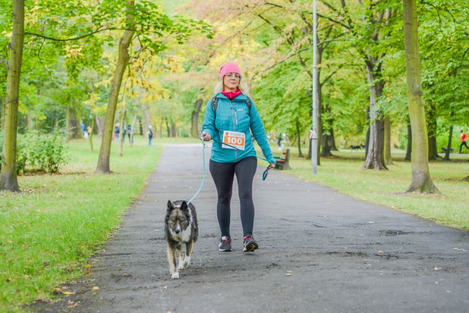 Za nami 9. Katowicki Dzień Psiaka [FOTORELACJA] - galeria