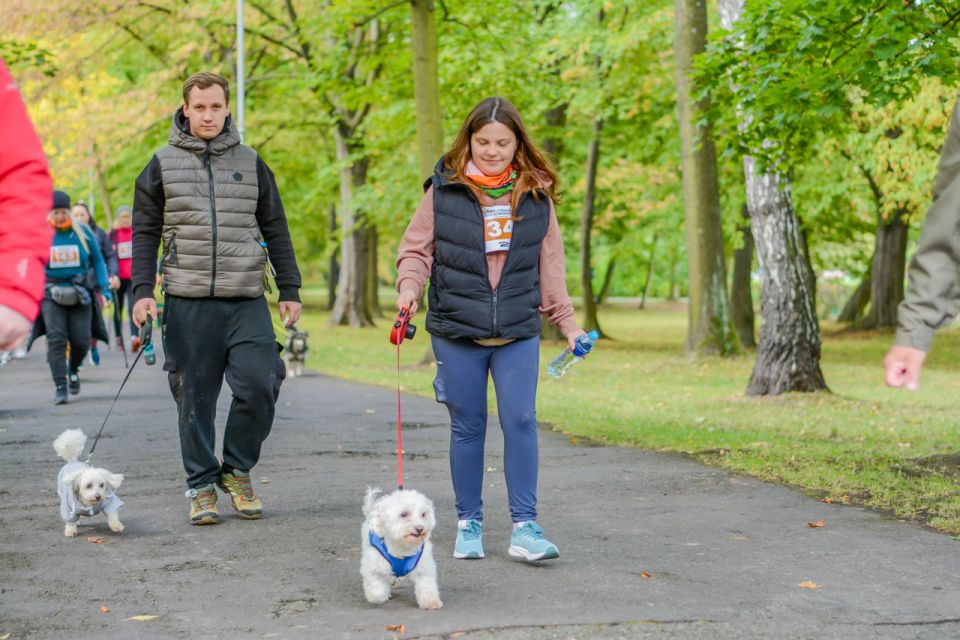 Za nami 9. Katowicki Dzień Psiaka [FOTORELACJA] - galeria