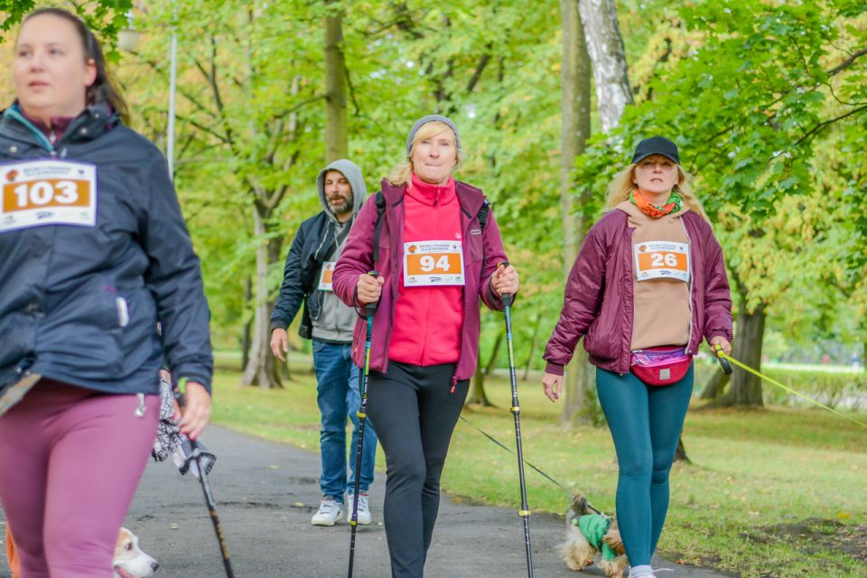 Za nami 9. Katowicki Dzień Psiaka [FOTORELACJA] - galeria