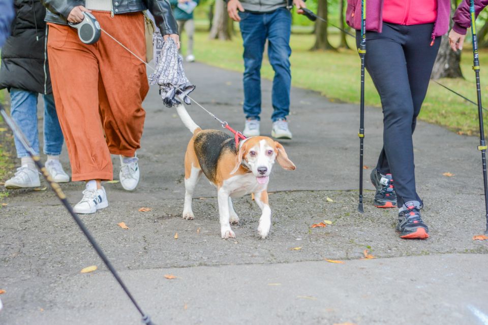 Za nami 9. Katowicki Dzień Psiaka [FOTORELACJA] - galeria