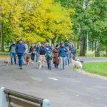 Za nami 9. Katowicki Dzień Psiaka [FOTORELACJA] - galeria