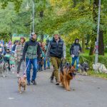 Za nami 9. Katowicki Dzień Psiaka [FOTORELACJA] - galeria