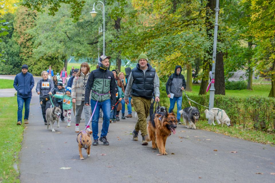 Za nami 9. Katowicki Dzień Psiaka [FOTORELACJA] - galeria