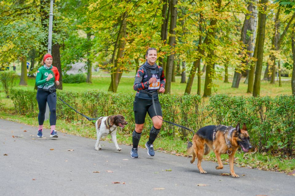 Za nami 9. Katowicki Dzień Psiaka [FOTORELACJA] - galeria