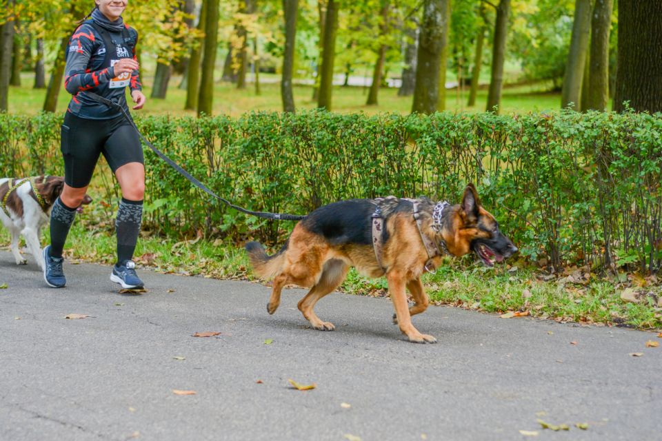 Za nami 9. Katowicki Dzień Psiaka [FOTORELACJA] - galeria