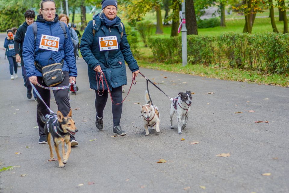Za nami 9. Katowicki Dzień Psiaka [FOTORELACJA] - galeria