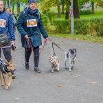 Za nami 9. Katowicki Dzień Psiaka [FOTORELACJA] - galeria