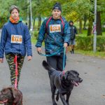 Za nami 9. Katowicki Dzień Psiaka [FOTORELACJA] - galeria