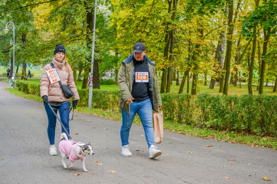 Za nami 9. Katowicki Dzień Psiaka [FOTORELACJA] - galeria