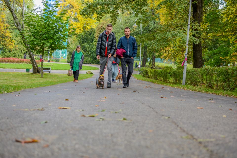 Za nami 9. Katowicki Dzień Psiaka [FOTORELACJA] - galeria