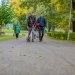 Za nami 9. Katowicki Dzień Psiaka [FOTORELACJA] - galeria