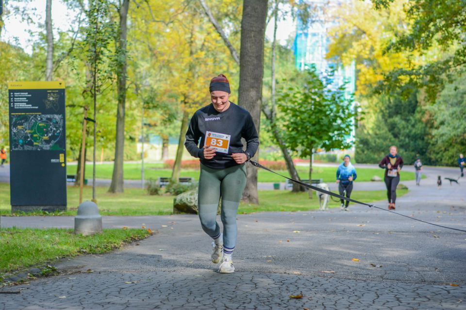 Za nami 9. Katowicki Dzień Psiaka [FOTORELACJA] - galeria