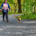 Za nami 9. Katowicki Dzień Psiaka [FOTORELACJA] - galeria