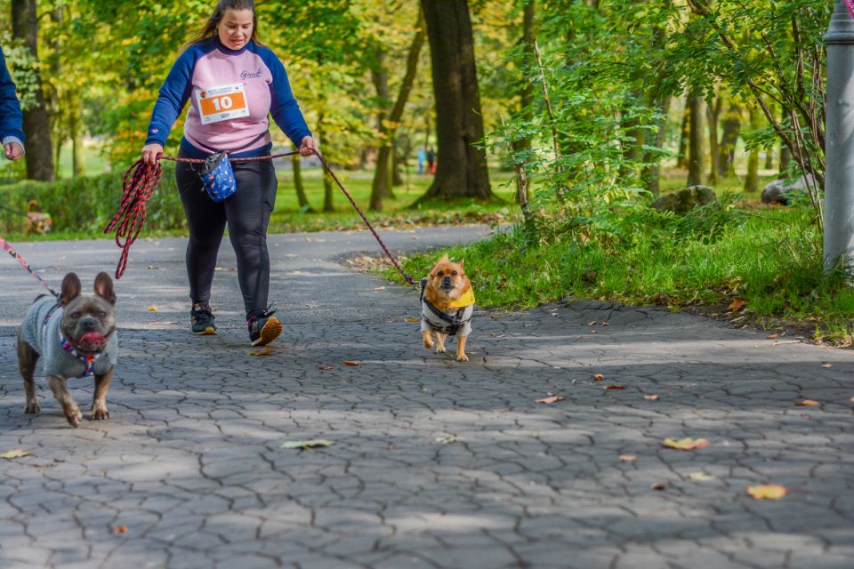 Za nami 9. Katowicki Dzień Psiaka [FOTORELACJA] - galeria