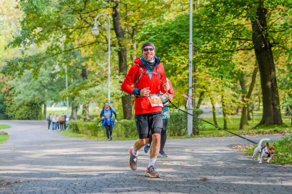 Za nami 9. Katowicki Dzień Psiaka [FOTORELACJA] - galeria