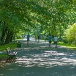 Kolejny Park Run Katowice za nami. Uczcili nadchodzący Dzień Ojca [FOTORELACJA] - galeria