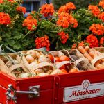 Zdjęcia: Birdabo Studio