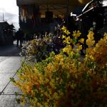 Wielkanocny klimat w sercu województwa - Jarmark Wielkanocny 2025 w Katowicach! - galeria