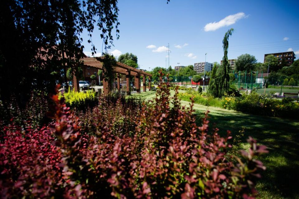 Kolonia Emma — malownicze osiedle robotnicze w Radlinie - galeria