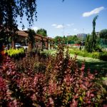 Kolonia Emma — malownicze osiedle robotnicze w Radlinie - galeria