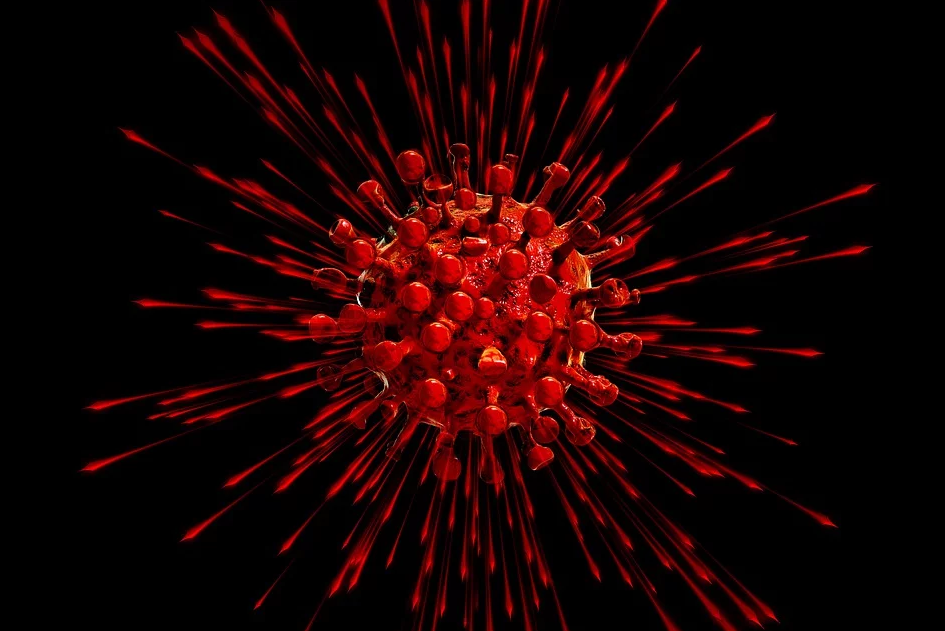 Ministerstwo Zdrowia: ponad 2,5 tys. hospitalizowanych z powodu koronawirusa, wyzdrowiały 1133 osoby - galeria