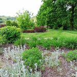 Śląski Ogród Botaniczny w Mikołowie - sielska kraina województwa śląskiego - galeria