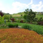 Śląski Ogród Botaniczny w Mikołowie - sielska kraina województwa śląskiego - galeria