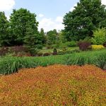 Śląski Ogród Botaniczny w Mikołowie - sielska kraina województwa śląskiego - galeria