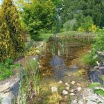 Śląski Ogród Botaniczny w Mikołowie - sielska kraina województwa śląskiego - galeria