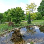 Śląski Ogród Botaniczny w Mikołowie - sielska kraina województwa śląskiego - galeria