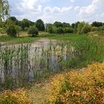 Śląski Ogród Botaniczny w Mikołowie - sielska kraina województwa śląskiego - galeria