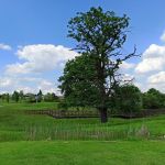 Śląski Ogród Botaniczny w Mikołowie - sielska kraina województwa śląskiego - galeria