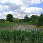 Śląski Ogród Botaniczny w Mikołowie - sielska kraina województwa śląskiego - galeria