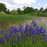 Śląski Ogród Botaniczny w Mikołowie - sielska kraina województwa śląskiego - galeria