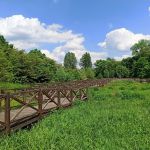 Śląski Ogród Botaniczny w Mikołowie - sielska kraina województwa śląskiego - galeria