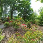 Śląski Ogród Botaniczny w Mikołowie - sielska kraina województwa śląskiego - galeria