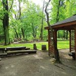 Miejski Ogród Botaniczny w Zabrzu to jedna z perełek województwa śląskiego - galeria