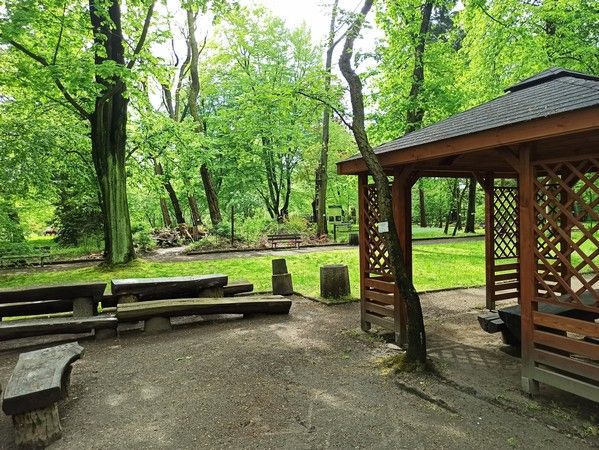 Miejski Ogród Botaniczny w Zabrzu to jedna z perełek województwa śląskiego - galeria