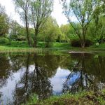 Miejski Ogród Botaniczny w Zabrzu to jedna z perełek województwa śląskiego - galeria