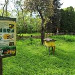 Miejski Ogród Botaniczny w Zabrzu to jedna z perełek województwa śląskiego - galeria