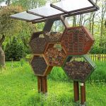 Miejski Ogród Botaniczny w Zabrzu to jedna z perełek województwa śląskiego - galeria