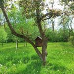 Miejski Ogród Botaniczny w Zabrzu to jedna z perełek województwa śląskiego - galeria