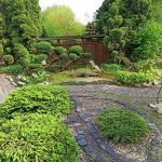 Miejski Ogród Botaniczny w Zabrzu to jedna z perełek województwa śląskiego - galeria