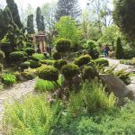 Miejski Ogród Botaniczny w Zabrzu to jedna z perełek województwa śląskiego - galeria